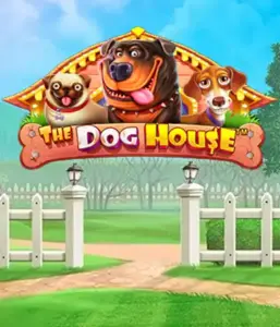 Pragmatic Play's The Dog House Slot, bringing you a fun-filled adventure among charming canines. Enjoy features including sticky wilds, perfect for delivering entertaining gameplay. Ideal for animal enthusiasts an amusing theme and the opportunity to win big.